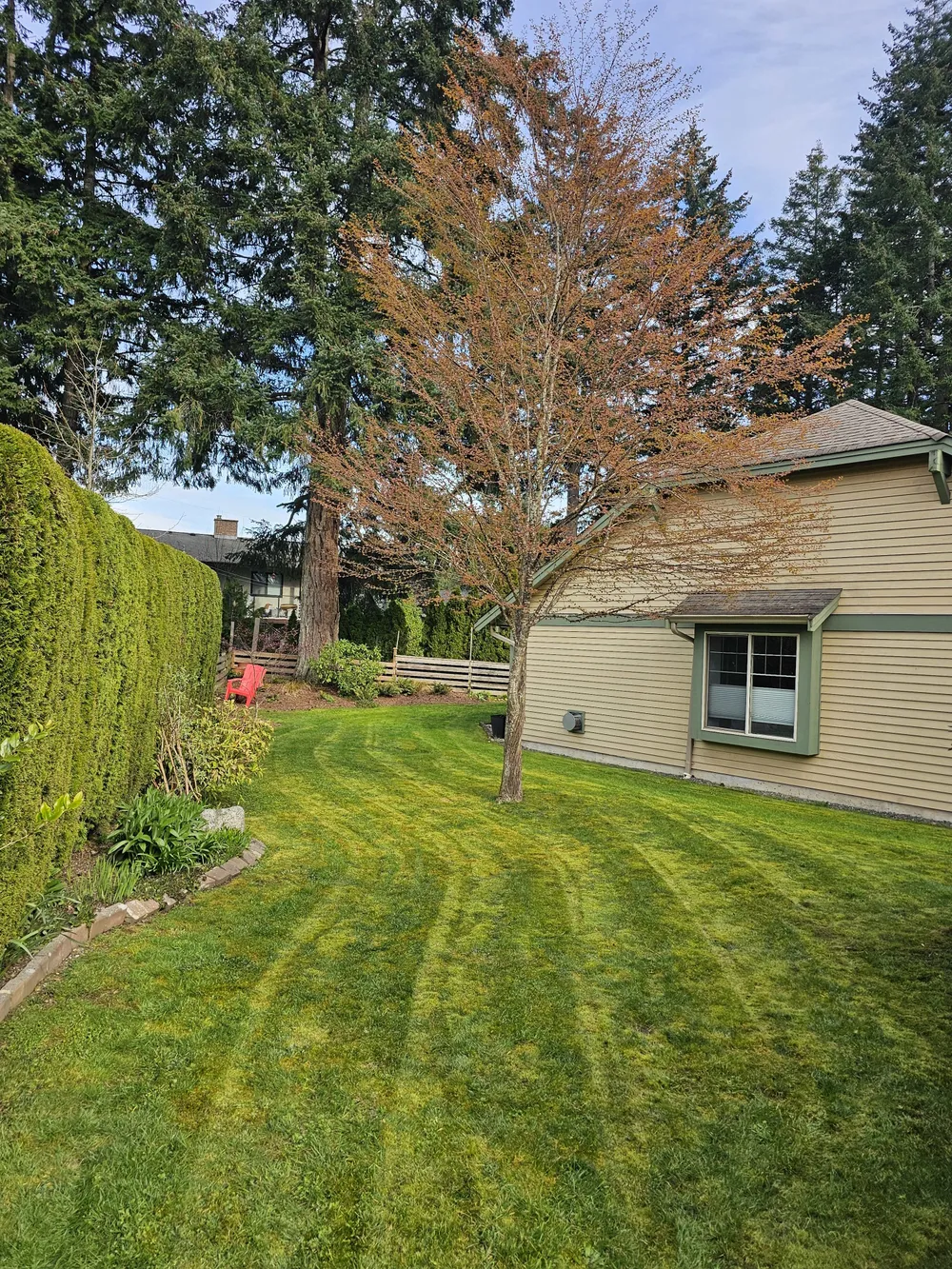Photo of freshly cut grass