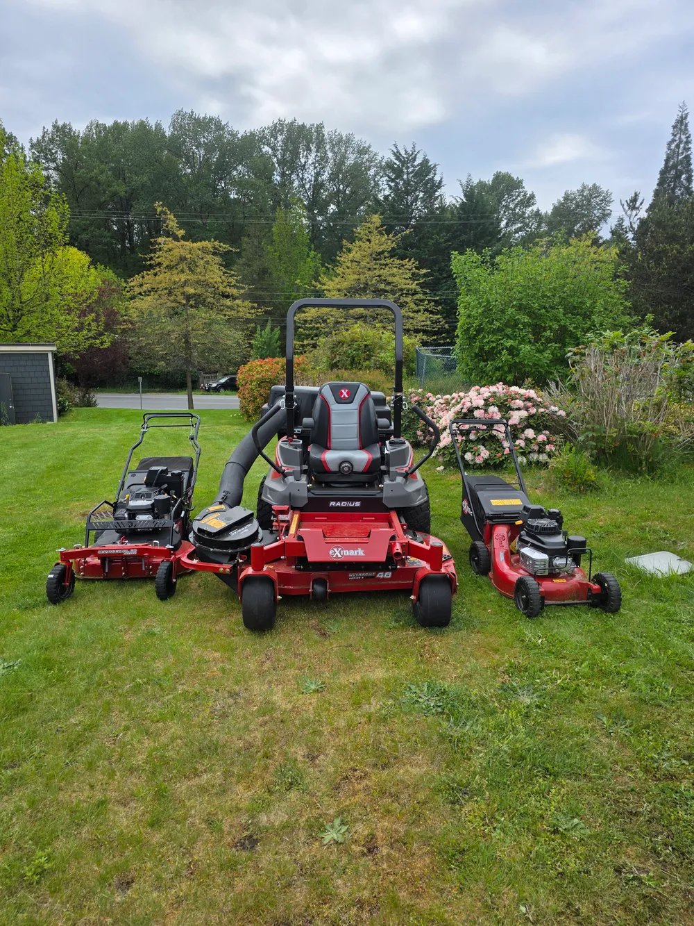 Photo of freshly cut grass