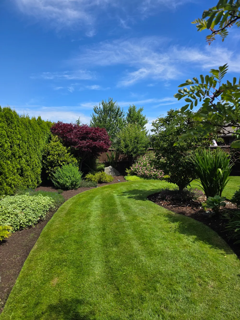 Photo of freshly cut grass